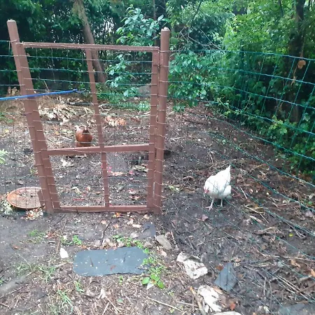 Frühstückspension A La Pause Bien Meritee =) Villers-la-Ville