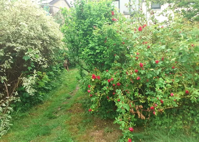 A La Pause Bien Meritee =) 3* Villers-la-Ville